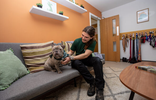 Jerry Green Dog Rescue male centre trainer wtih one eyed french bulldog on sofa