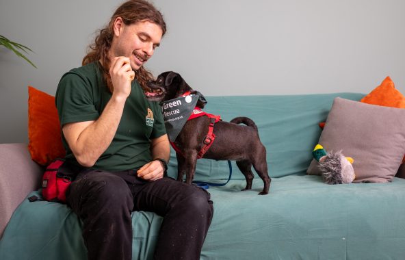 Nottinghamshire Jerry Green Dog Rescue