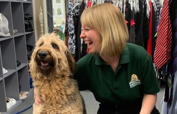 Jerry Green Dog Rescue Charity Shops