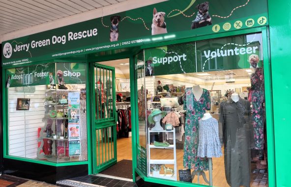 Jerry Green Dog Rescue Charity Shop Scunthorpe