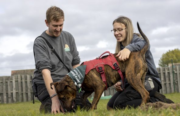 South Lincolnshire Jerry Green Dog Rescue