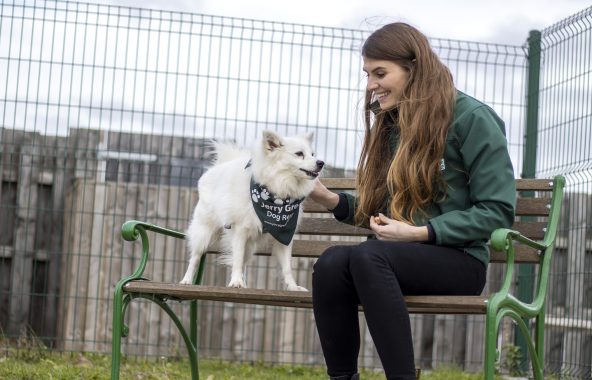 Person petting dog outside