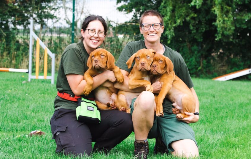 Two females in green clothing holding three Dog de Bordeaux puppies