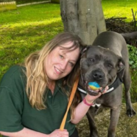 Jerry Green Dog Rescue North Lincolnshire