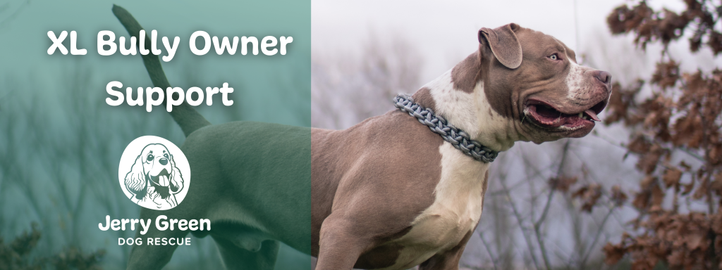 XL Bully Owner Support Banner Image