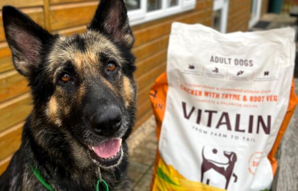 Image of a rescued German Shepherd looking happy sat next to a bag of Vitalin dog food