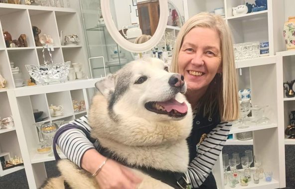 Jerry Green Dog Rescue Charity Shops