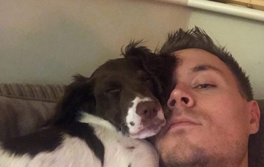 A brown and white sprocker spaniel cuddling with her owner